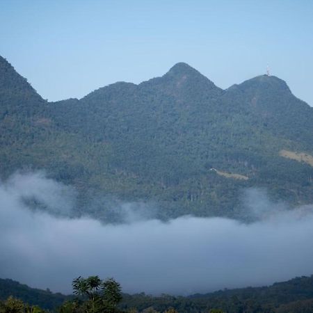 Andardac Hotel Guaramirim ภายนอก รูปภาพ